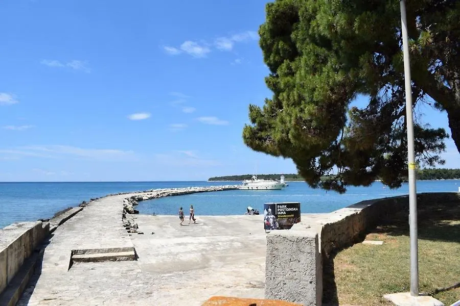 Apartment Matea Novigrad  Guest house